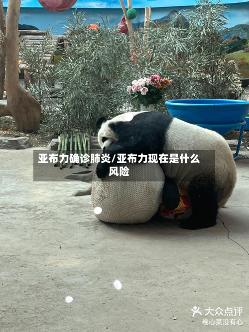 亚布力确诊肺炎/亚布力现在是什么风险
