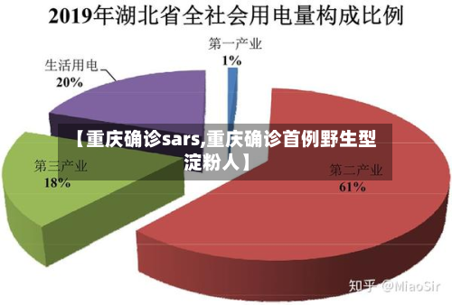 【重庆确诊sars,重庆确诊首例野生型淀粉人】-第2张图片