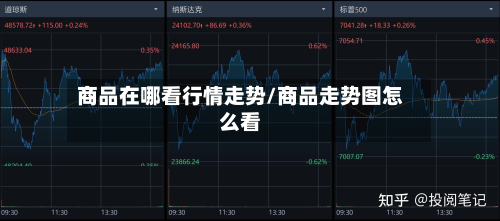 商品在哪看行情走势/商品走势图怎么看