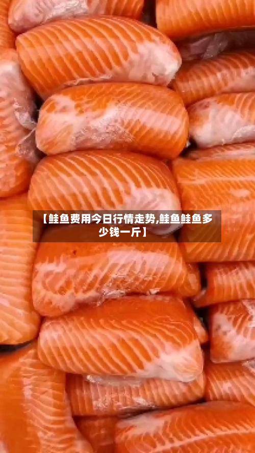 【鲑鱼费用今日行情走势,鲑鱼鲑鱼多少钱一斤】-第3张图片