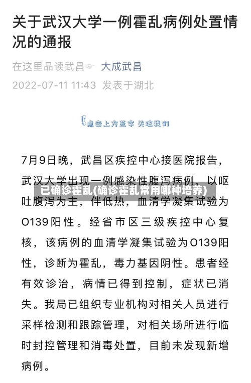 已确诊霍乱(确诊霍乱常用哪种培养)-第2张图片