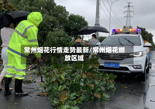 常州烟花行情走势最新/常州烟花燃放区域-第2张图片