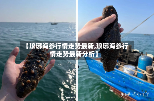 【琅琊海参行情走势最新,琅琊海参行情走势最新分析】