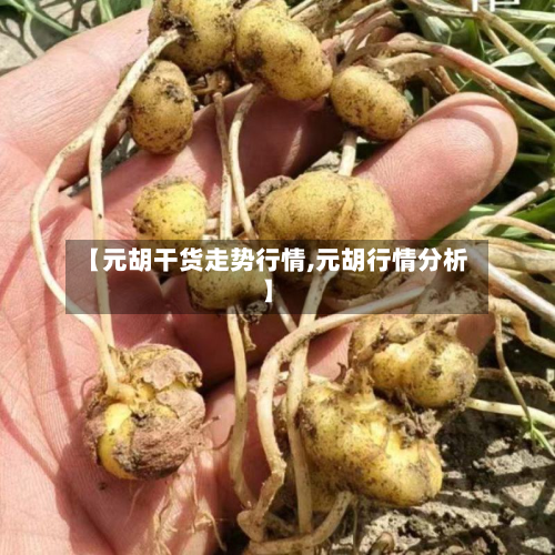 【元胡干货走势行情,元胡行情分析】-第2张图片