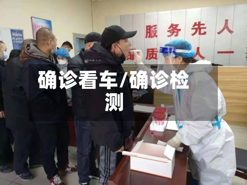 确诊看车/确诊检测