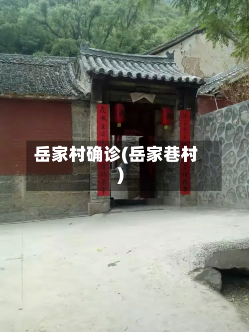 岳家村确诊(岳家巷村)