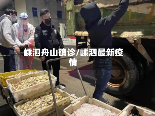 嵊泗舟山确诊/嵊泗最新疫情-第3张图片