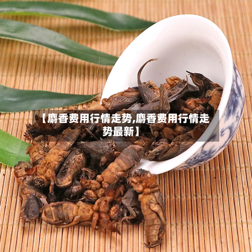 【麝香费用行情走势,麝香费用行情走势最新】
