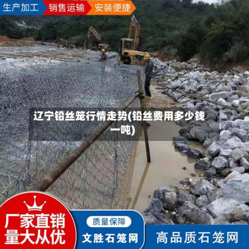 辽宁铅丝笼行情走势(铅丝费用多少钱一吨)-第2张图片