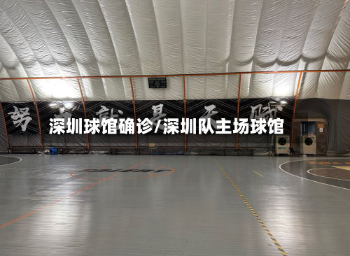 深圳球馆确诊/深圳队主场球馆-第2张图片