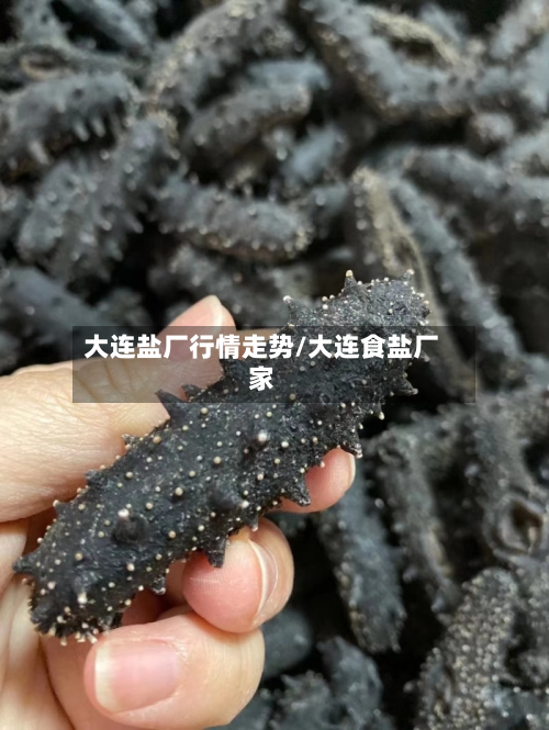 大连盐厂行情走势/大连食盐厂家