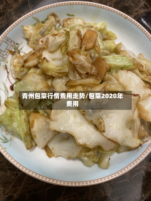 青州包菜行情费用走势/包菜2020年费用-第2张图片