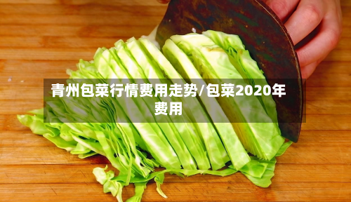 青州包菜行情费用走势/包菜2020年费用