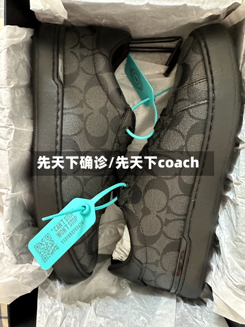 先天下确诊/先天下coach-第2张图片