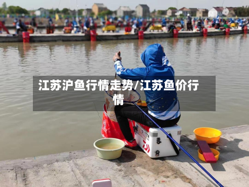江苏沪鱼行情走势/江苏鱼价行情