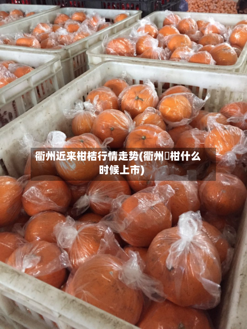 衢州近来柑桔行情走势(衢州椪柑什么时候上市)
