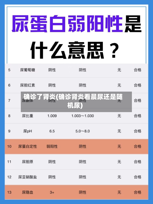确诊了肾炎(确诊肾炎看晨尿还是随机尿)-第3张图片