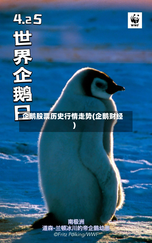 企鹅股票历史行情走势(企鹅财经)-第2张图片
