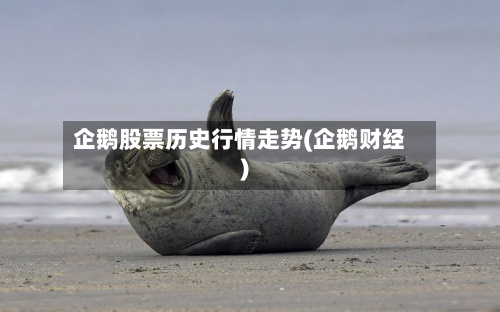 企鹅股票历史行情走势(企鹅财经)