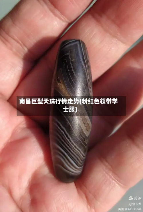 南昌巨型天珠行情走势(粉红色领带学士服)