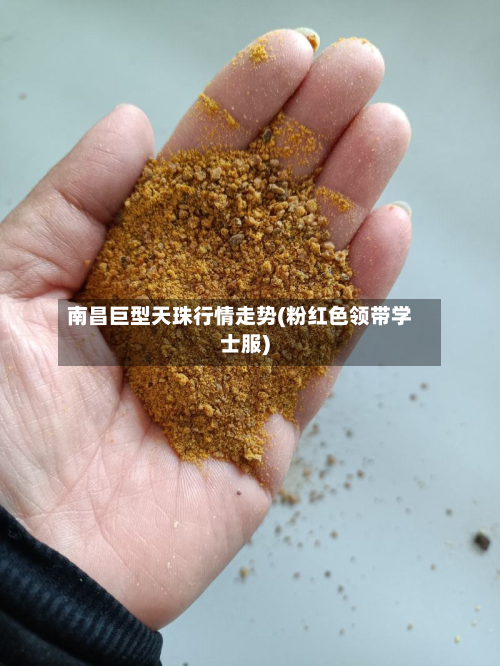 南昌巨型天珠行情走势(粉红色领带学士服)-第2张图片