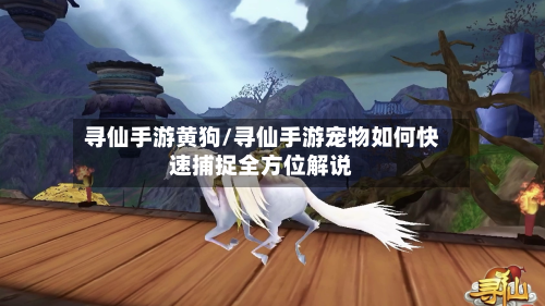 寻仙手游黄狗/寻仙手游宠物如何快速捕捉全方位解说-第2张图片