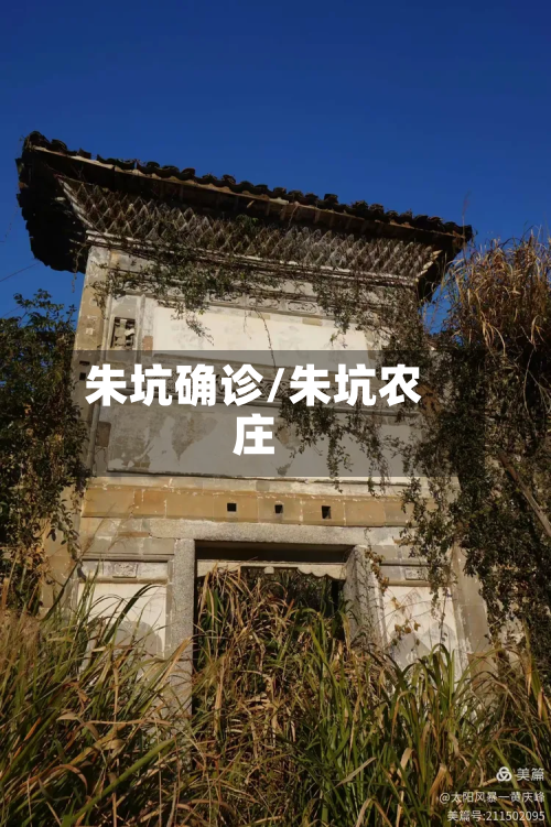 朱坑确诊/朱坑农庄-第2张图片