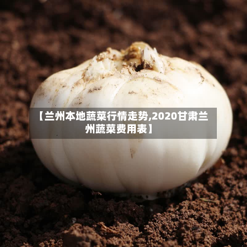 【兰州本地蔬菜行情走势,2020甘肃兰州蔬菜费用表】