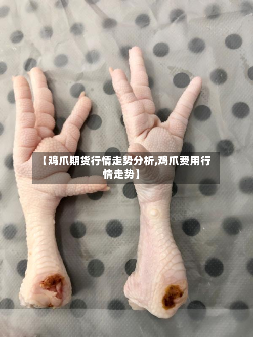 【鸡爪期货行情走势分析,鸡爪费用行情走势】-第2张图片