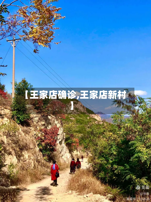 【王家店确诊,王家店新村】