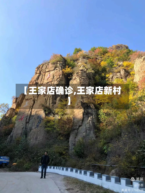 【王家店确诊,王家店新村】-第3张图片