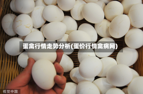 蛋禽行情走势分析(蛋价行情禽病网)-第2张图片