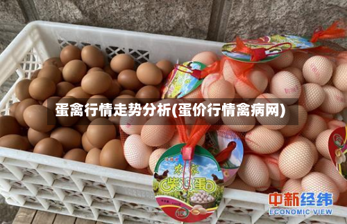 蛋禽行情走势分析(蛋价行情禽病网)