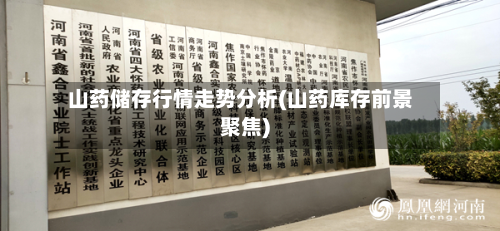 山药储存行情走势分析(山药库存前景聚焦)-第2张图片