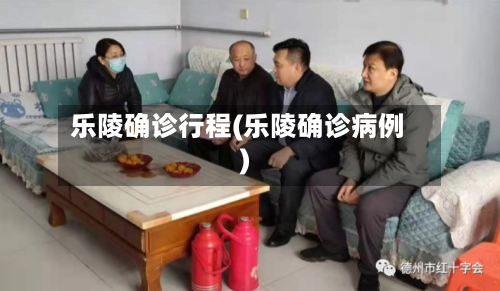 乐陵确诊行程(乐陵确诊病例)-第3张图片