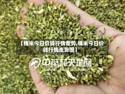 【槐米今日价钱行情走势,槐米今日价钱行情走势图】