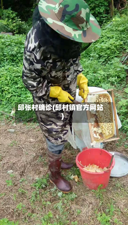 邱张村确诊(邱村镇官方网站)
