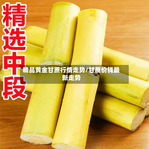 精品黄金甘蔗行情走势/甘蔗价钱最新走势-第2张图片