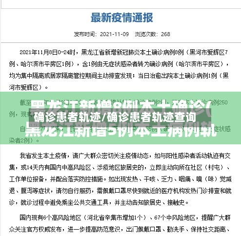 确诊患者轨迹/确诊患者轨迹查询
