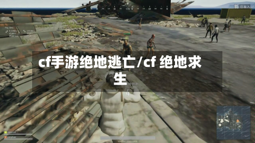 cf手游绝地逃亡/cf 绝地求生-第3张图片