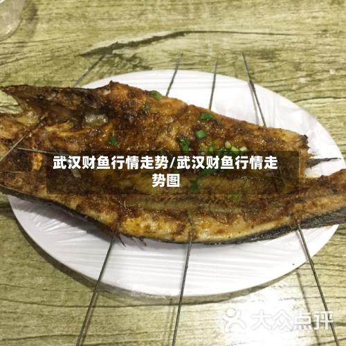 武汉财鱼行情走势/武汉财鱼行情走势图-第3张图片