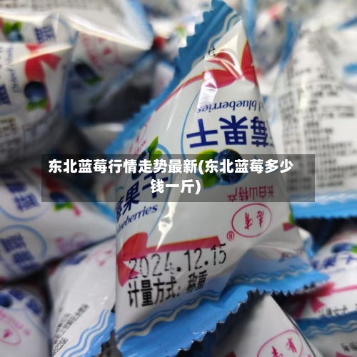东北蓝莓行情走势最新(东北蓝莓多少钱一斤)-第3张图片