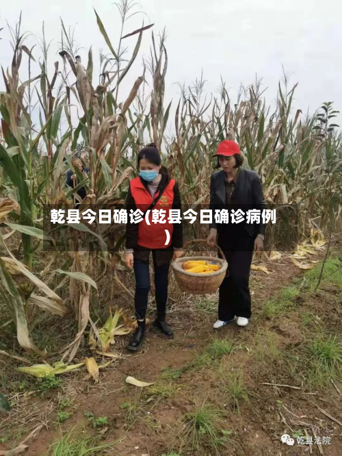 乾县今日确诊(乾县今日确诊病例)-第2张图片