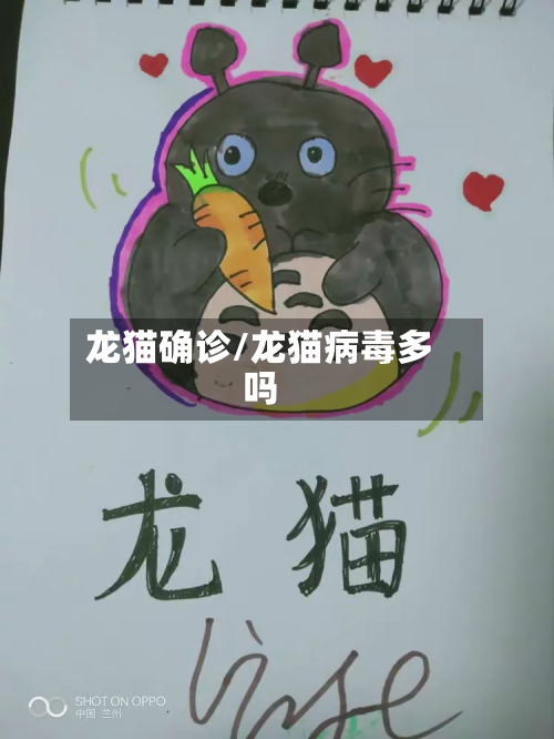 龙猫确诊/龙猫病毒多吗-第2张图片