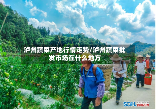泸州蔬菜产地行情走势/泸州蔬菜批发市场在什么地方