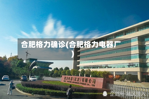 合肥格力确诊(合肥格力电器厂)