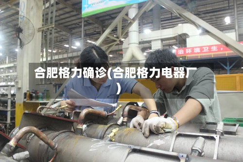 合肥格力确诊(合肥格力电器厂)-第2张图片