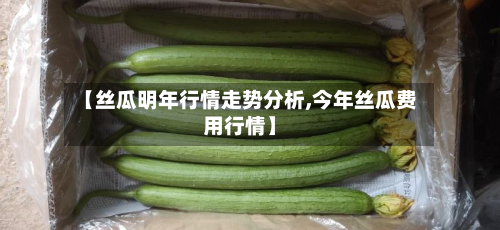 【丝瓜明年行情走势分析,今年丝瓜费用行情】-第2张图片