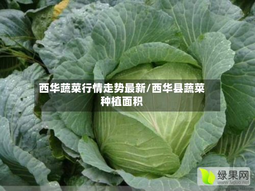 西华蔬菜行情走势最新/西华县蔬菜种植面积-第2张图片