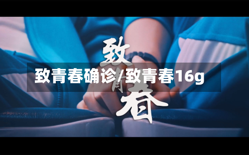 致青春确诊/致青春16g